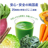 Nihon Yakuken 25 Purely Japanese Vegetables with Probiotics & Enzymes, Powder Stick Sachets for Digestive Health